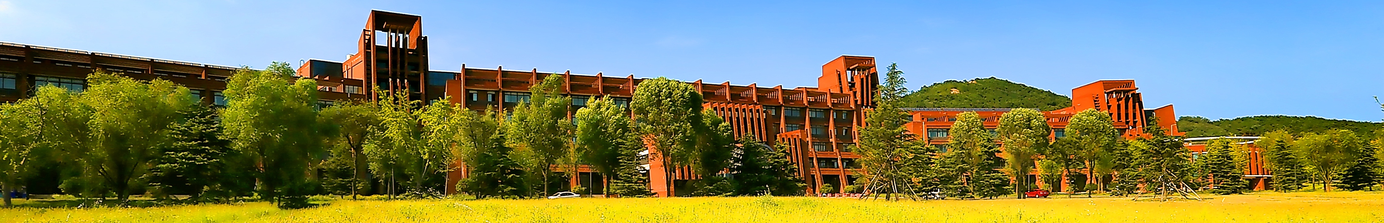 ylzz总站线路检测中心